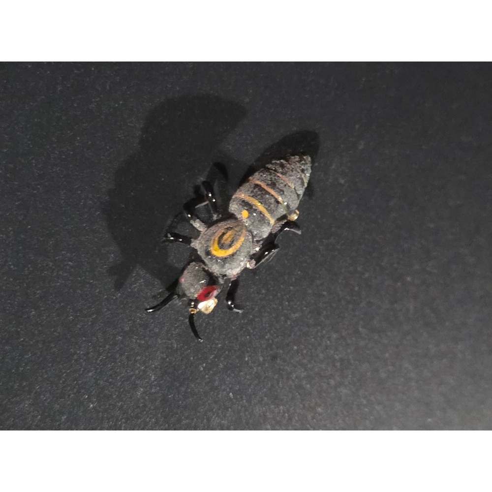 Wasp Insect Brooch Black Yellow Vintage Flocked Bee Fly Pin
